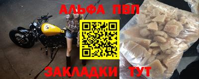 скорость Кингисепп