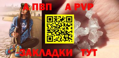 скорость Кингисепп